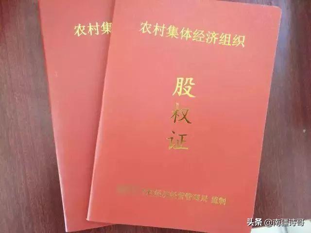 藏獒红利的口粮:公平决斗下，纯种藏獒多久可以咬死一只鬣狗？为什么？