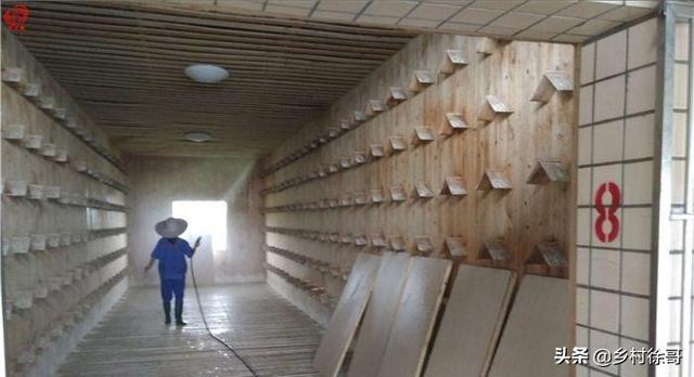 三类环境消毒要求:家禽养殖场要怎样进行消毒才有效？