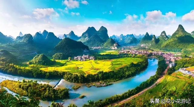 广西土松狮吧:有懂狗的吗，请问这是什么狗？