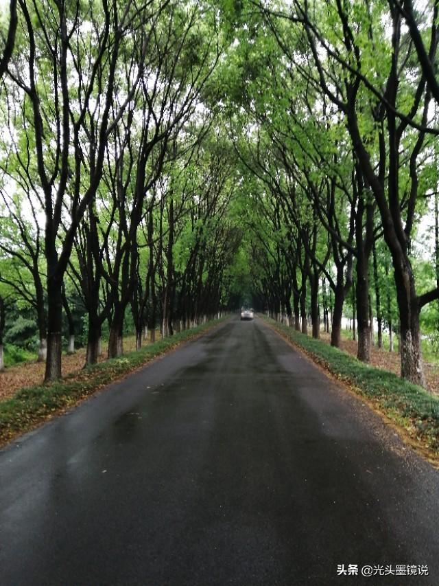 上海衡山路裸拍:上海有什么鲜为人知但很有意思的景点？