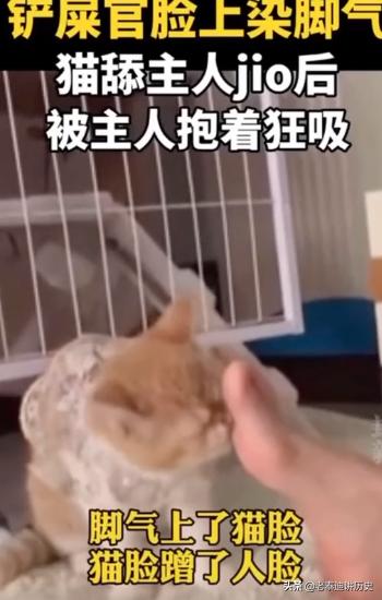 美女抱宠物猫图片大全:美女脸上莫名得脚气，来源竟是自家宠物猫，怎么回事？ 宠物猫皮肤病图片大全