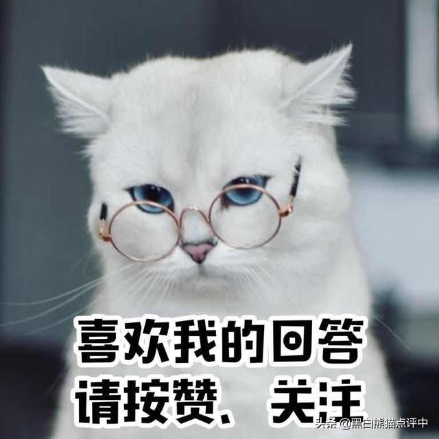 救救粉红猫头鹰1密码:小马宝莉六主角和三位公主个人介绍？