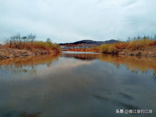 大水榕长出水面:真心请教，野钓水底长满了厚厚的水草（整条河都是）该如何作钓？
