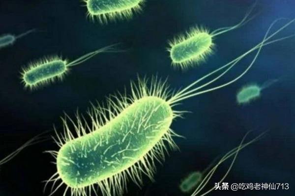 水质稳定剂用法:水质清澈剂能和硝化菌一起使用吗？