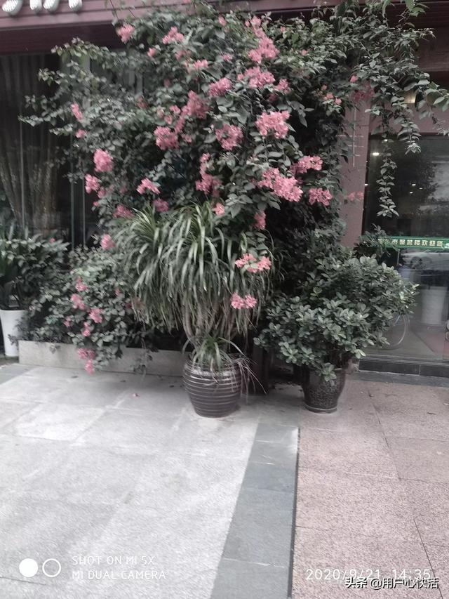 不想面对任何人,想躲起来。与世隔绝。厌恶现在的一切。讨厌尔虞我诈,讨厌是非,该如何自我调节？