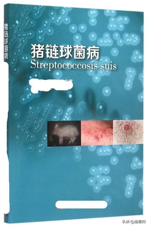 什么病能突然死亡:大猪拉绿色粪便并突然死亡是什么病？