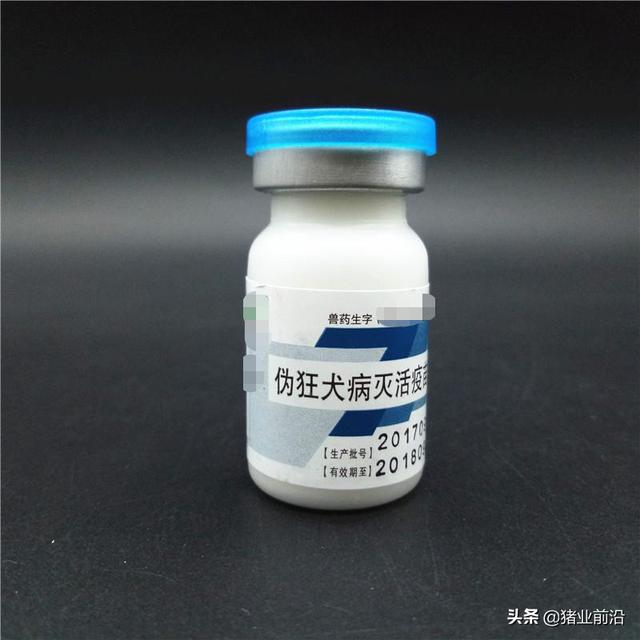 伪狂犬病的传播途径:猪伪狂犬病引起的仔猪腹泻的症状与控制策略？