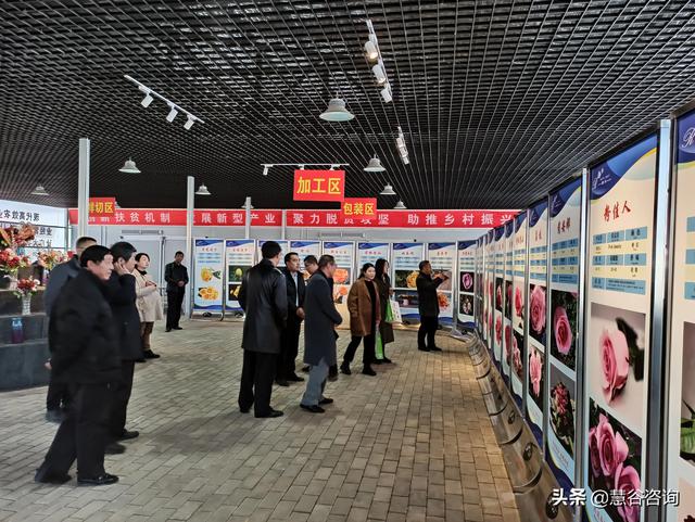 国家一号文件振兴乡村，作为农村人做什么，才能抓住国家这波红利？-第6张图片-9158手机教程网