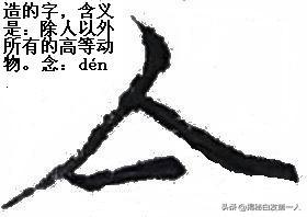 被小蜈蚣咬了怎么处理方法:刚刚被这虫子咬了一口脚踝，要怎么处理？
