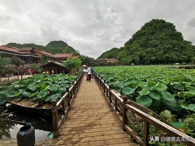 普者黑和泸沽湖哪一个更值得去呢