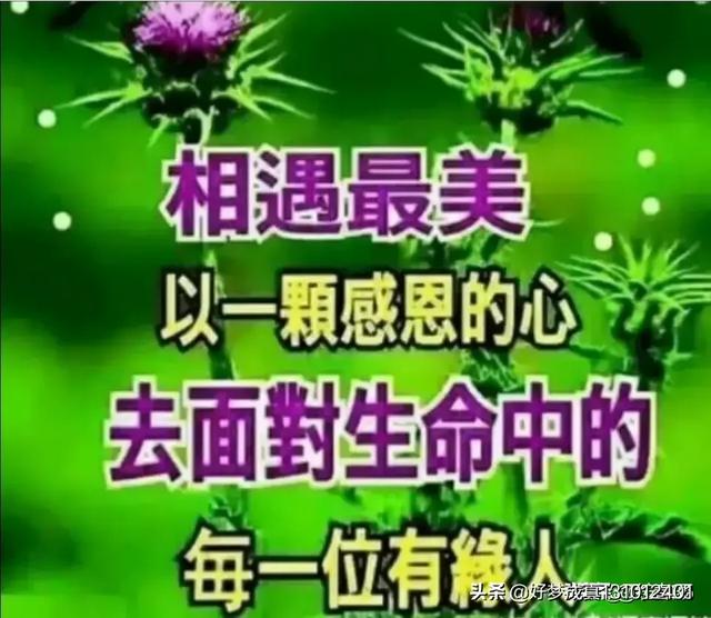 你做过什么事值得自己一辈子骄傲？