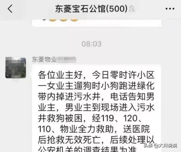 叫救助犬最后的遗言:流浪动物是哪来的？被救援的流浪动物结局乐观的一面在哪？