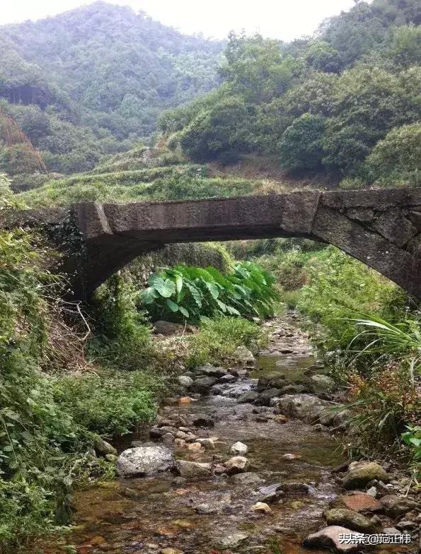 高楼大厦新书;高楼大厦新书太初