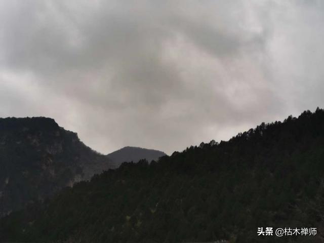 描写森林的好词好句有哪些？