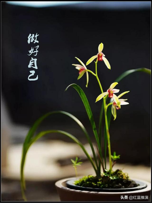 领导请吃饭但要加班让我留下但是让同事去了却没叫