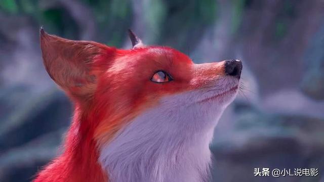 头条问答 - 《三生三世十里桃花》东华帝君为什么对小狐狸很特别?