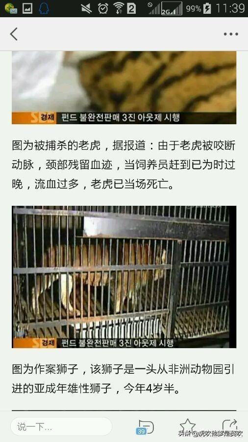 古鬣犬:10只鬣狗能搞定东北虎吗？非洲二哥鬣狗在什么情况下能碾压老虎