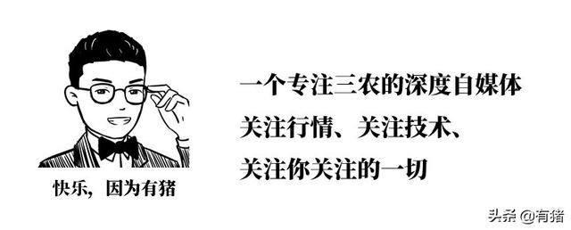 磺胺对甲氧嘧啶英文缩写:磺胺对甲氧嘧啶英文 母猪怀孕十天了，打磺胺间甲氧嘧啶可以吗？为什么？