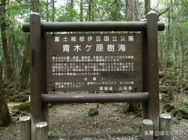 日本的自杀森林真的存在么？