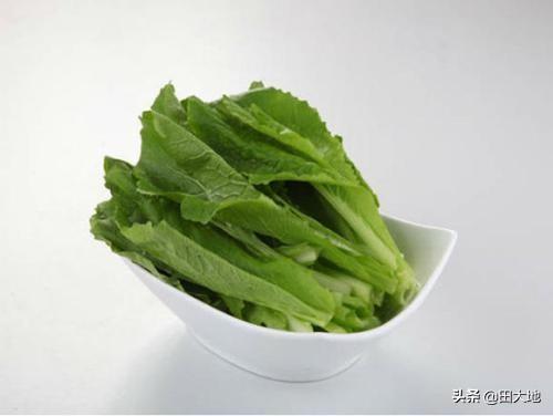 农家菜园种植的油麦菜，施用农家肥，拒绝农药，能够健壮地生长吗？