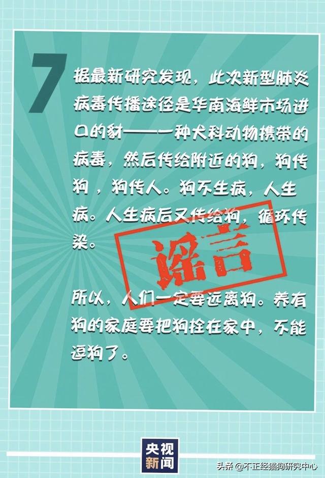 传染性腹膜炎:猫传腹是猫的什么病，真的像兽医说的那样无药可治吗？