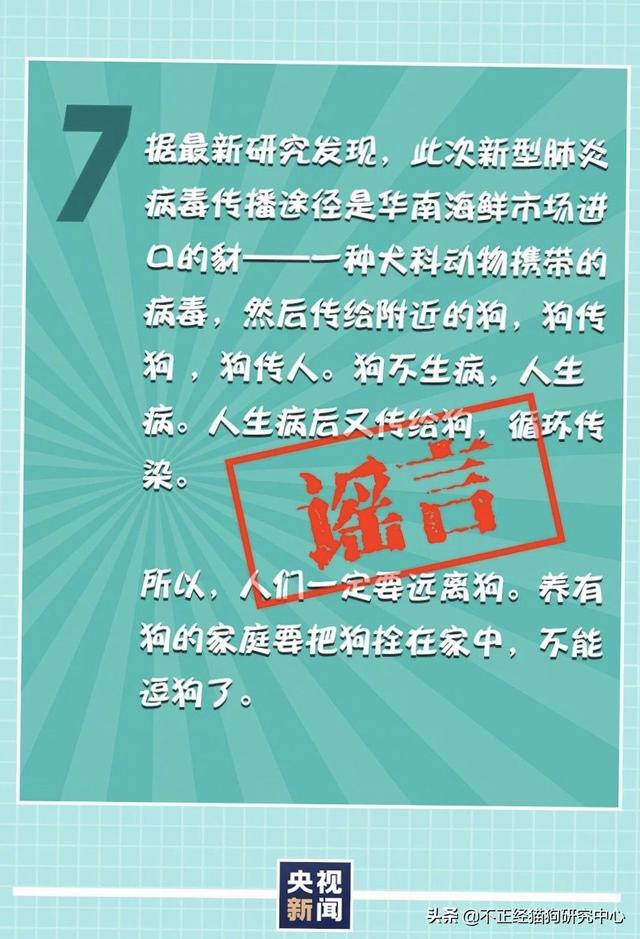 人会携带犬冠状病毒么:假如人得了新型冠状病毒会传染给家里的猫猫狗狗吗？