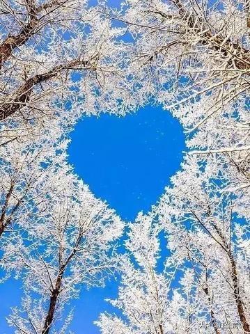 如果让你给《雪山飞狐》补一个结尾，你会怎么写？