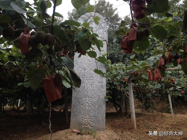 隋唐王陵有多少没被发现？