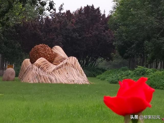 为什么有钱人都住一楼,为什么住一楼的都说一楼最不好？