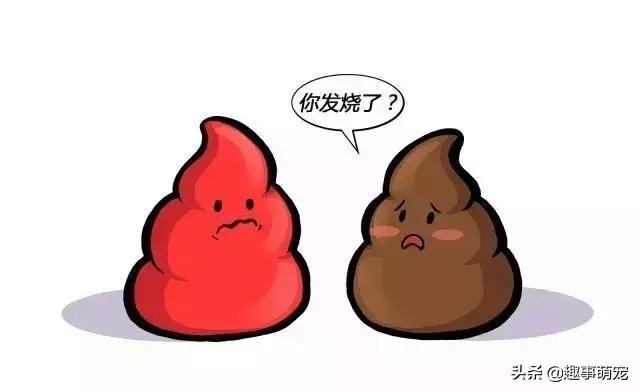 萌宠铲屎官是什么意思:对狗和爱狗人士极端厌恶的人是怎么想的？