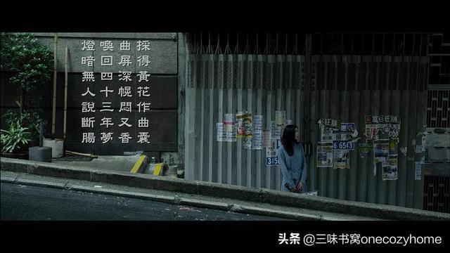 泰迪罗宾的老婆:电影奇幻夜枕妖到底讲的是什么意思