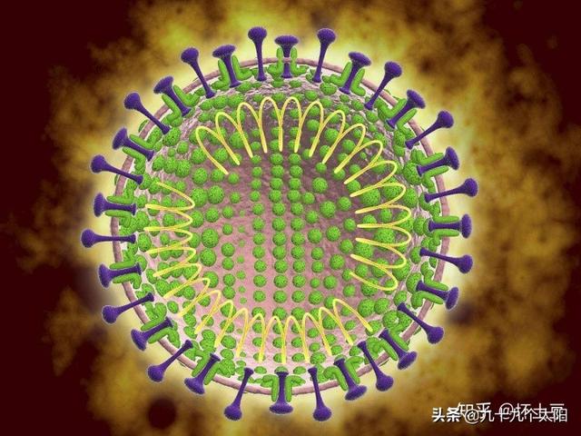 疫苗印度制造新冠疫苗将很快问世:“拉姆达”来袭，如何降低新冠病毒突变率？