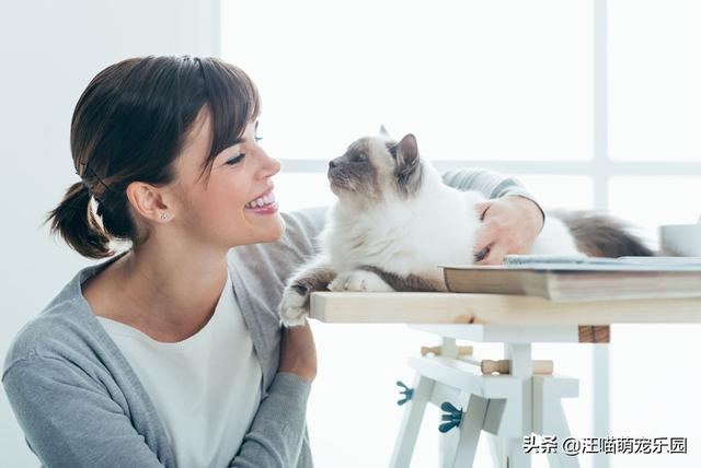 养猫的男人:猫系男人养猫会不会更骚？