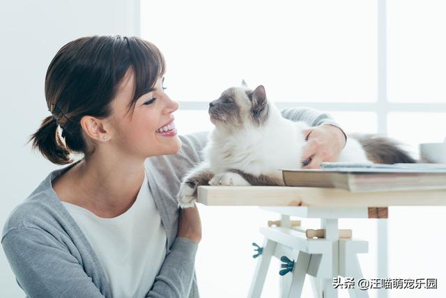 养猫的男人 全集:男生对于养猫的女生怎么看？