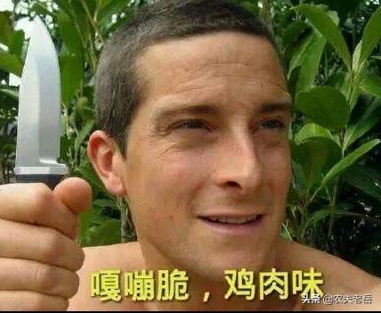 拇指猴:历史上真的出现过数寸长的小人吗？ 拇指猴是不是保护动物