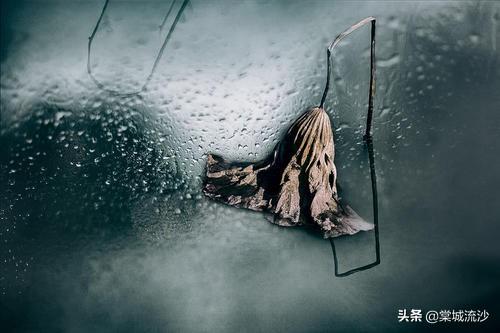 夜深了人静了,唯有雨声陪伴,此时出现在你脑中的人是谁？