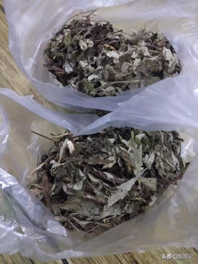 你有什么独家驱蚊方法吗？