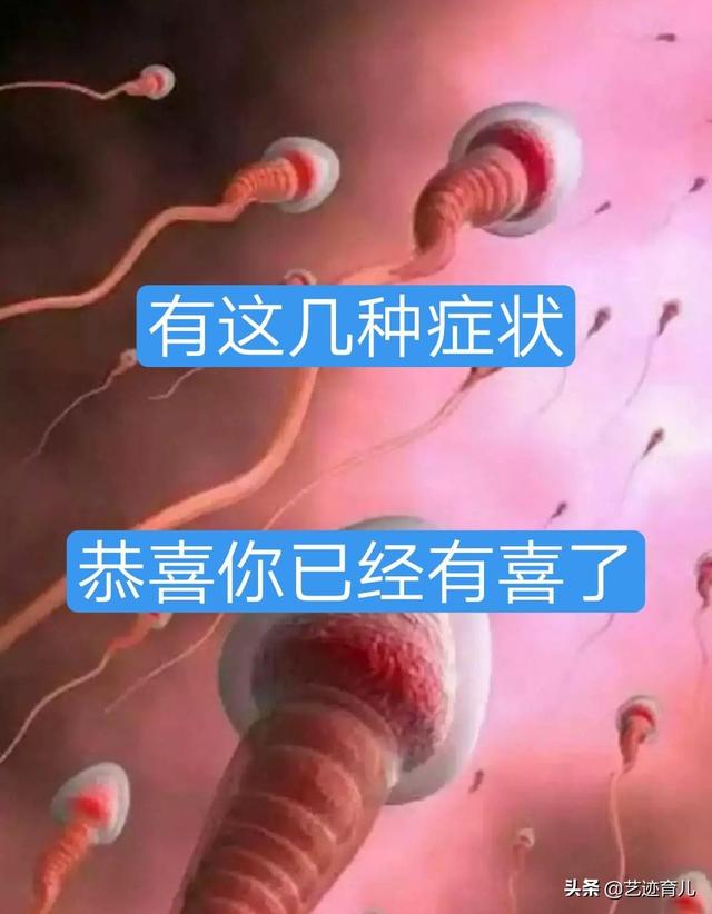 阿德丽安娜尤加特:高龄产妇的怀胎几率高吗？