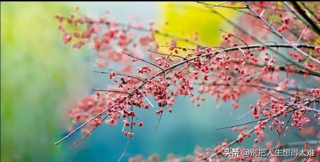 80后宝妈的自我介绍:80后们，你们现在过得怎么样了啊疫情对你们影响大吗