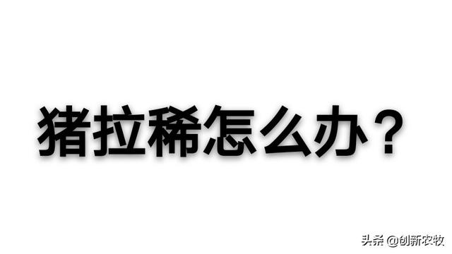 中猪拉稀不吃食怎么办:怀孕母猪低温拉稀不食怎么办？