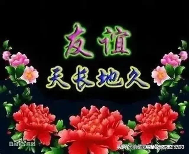 三联会老大的女儿:三岁的老大总是被一岁的老二揍，怎么破？