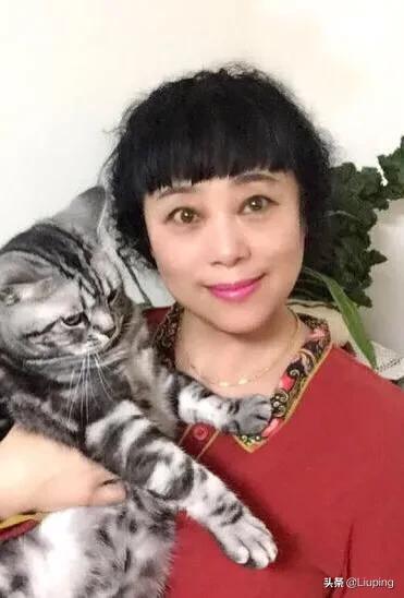 宠物婚配生意越来越火:为什么现在，选择养猫狗当伴侣的优质大龄剩女越来越多？