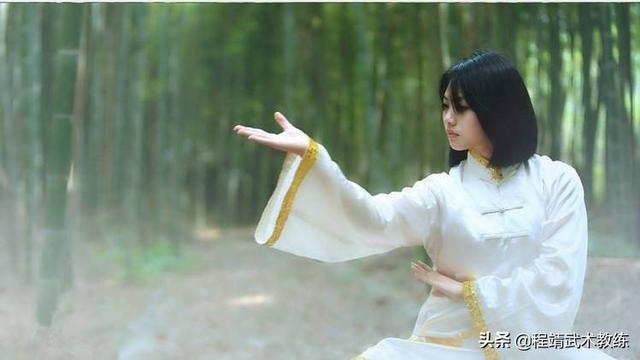 李天金:闫芳的太极在太极界到底是什么水平？