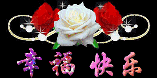 500_250gif 动态图 动图