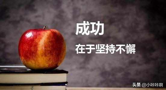 张海迪简介:有没有关于坚持不懈的书籍