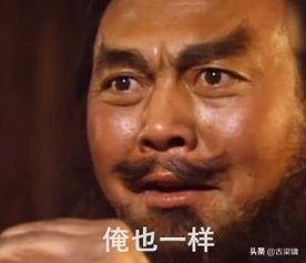 西安藏獒峰会:不去惹狗狗的话，狗狗会咬人吗？