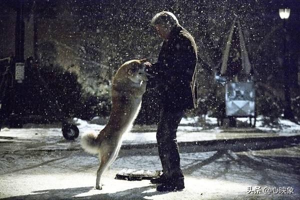 忠犬小八电影:如何评价电影《忠犬八公》？