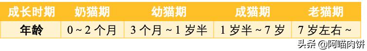 小龙猫用什么人工喂奶:如何照顾刚分娩的龙猫妈妈和小龙猫？ 小龙猫怎么人工喂奶