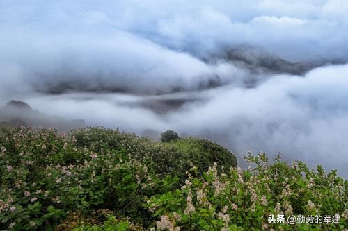 环境描写,有哪些写到极致的环境描写？