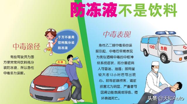 波米拉猫有些什么颜色:发动机冷却液不同颜色代表了什么？怎么选择？